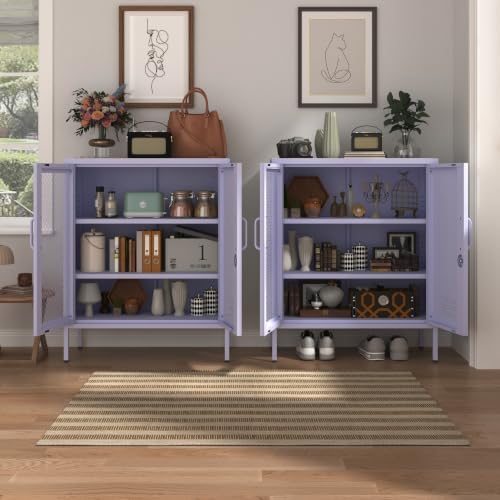 Purple Metal Storage Cabinet with Adjustable Shelf, Lockable 2 Door Sideboard...