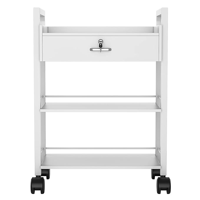 Paddie Salon Trolley Cart, Wooden Mobile Utility Cabinet Lab Cart - Image 6