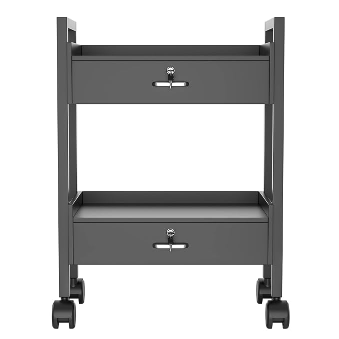 Paddie Salon Trolley Cart, Salon Tray Wooden Mobile Utility Cabinet - Image 6