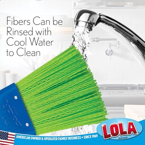 LOLA Heavy Duty Whisk Broom, Hand Brush, Durable Bristles, Whisks Away Dirt & Debris, Compact, Hang Hole for Easy Storage, Indoor/Outdoor, 1 Pack