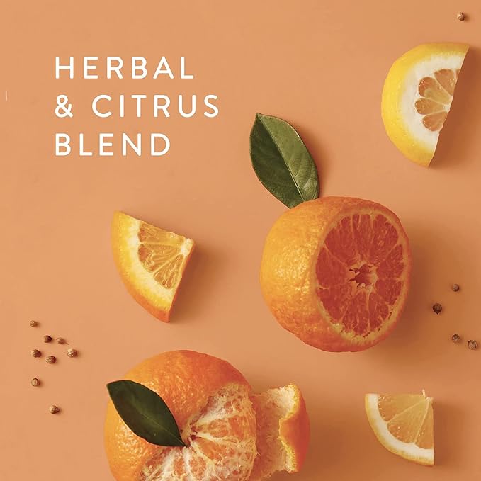 Thymes Mandarin Coriander Reed Diffuser Oil - Image 6