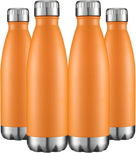 HASLE OUTFITTERS 17oz Stainless Steel Water Bottles Bulk, Vacuum Insulated by HASLEOUTFITTERS