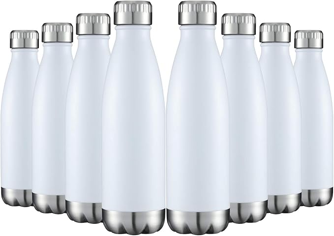 HASLE OUTFITTERS 17oz Stainless Steel Water Bottles Bulk, Vacuum Insulated by HASLEOUTFITTERS