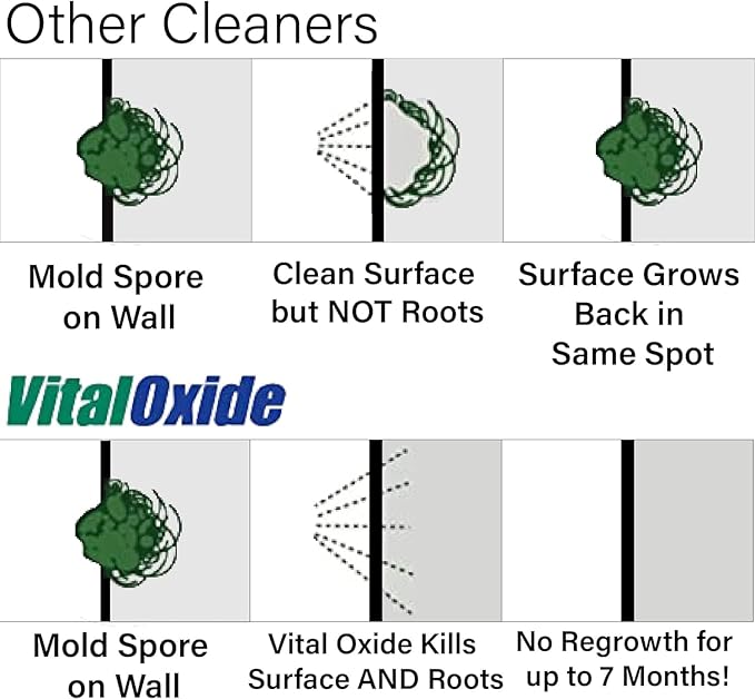 Vital Oxide Disinfectant, Deodorizer, Food-Contact Sanitizer, Virucide – – - Image 2