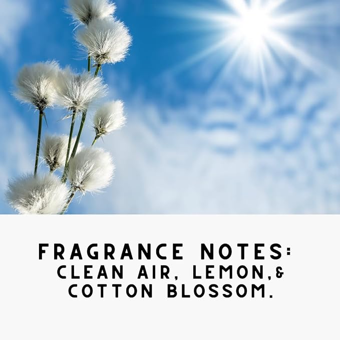 Home 'COTTON SKY', Concentrated, Natural Laundry Detergent Powder - Image 2