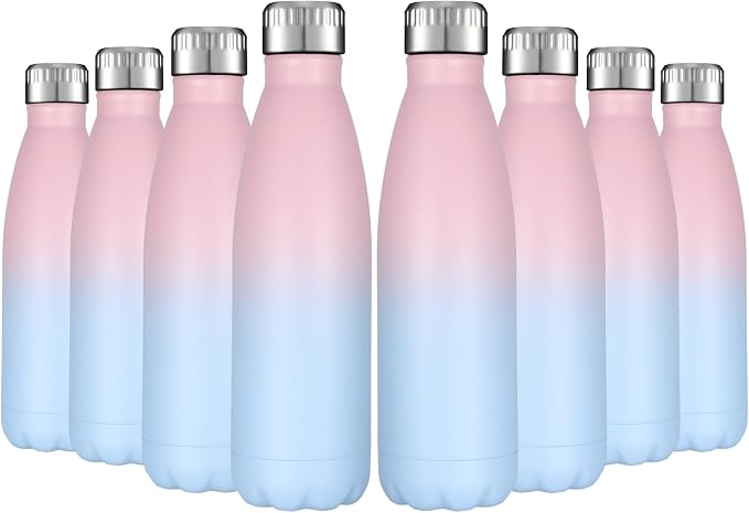 HASLE OUTFITTERS 17oz Stainless Steel Water Bottles Bulk, Vacuum Insulated by HASLEOUTFITTERS