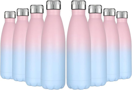 HASLE OUTFITTERS 17oz Stainless Steel Water Bottles Bulk, Vacuum Insulated by HASLEOUTFITTERS