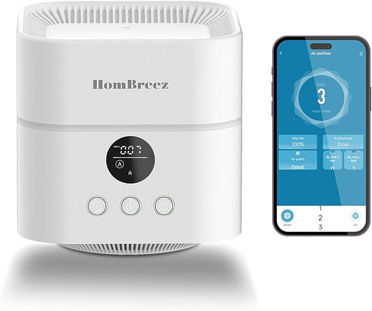Air Purifier and Humidifier Combo by HomBreez