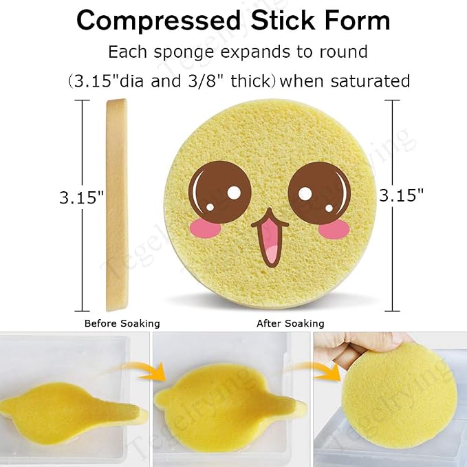 Facial Sponge Compressed - Image 2