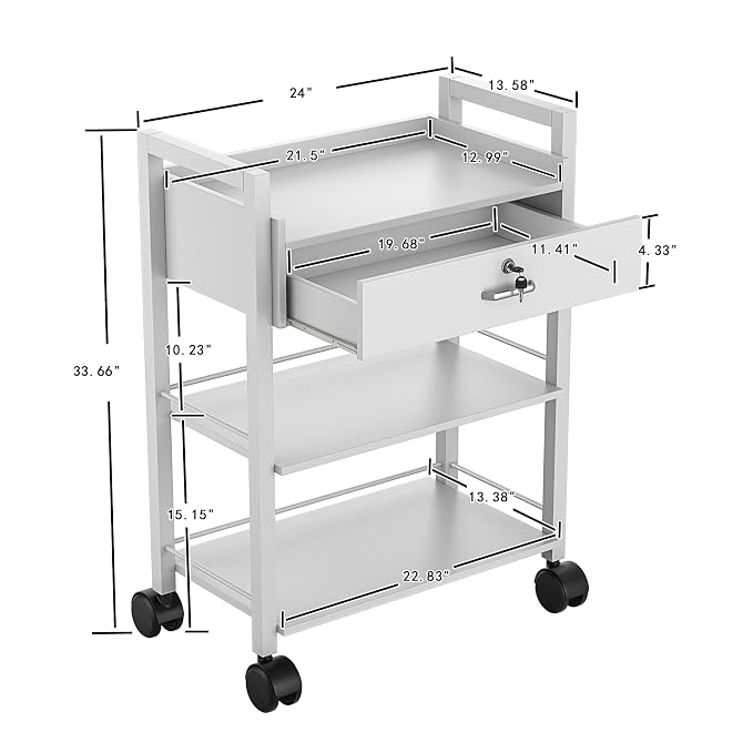 Paddie Salon Trolley Cart, Wooden Mobile Utility Cabinet Lab Cart - Image 7