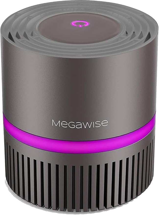 MEGAWISE H13 HEPA Air Purifier for Home, Desktop Air Cleaner by MEGAWISE