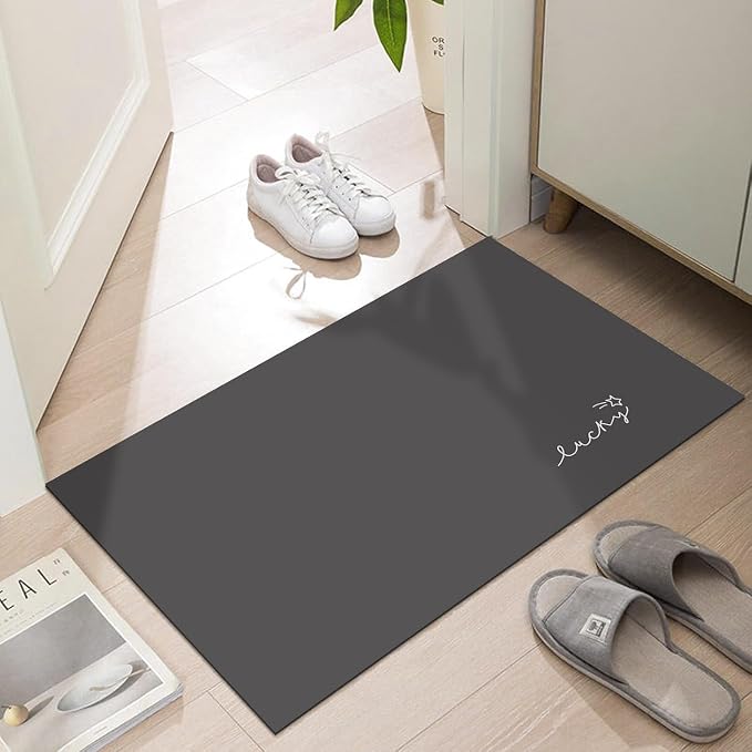 Ultra Thin Door Mat Indoor Entrance, 1/10 in Thin Door Mats by LYGLIGH