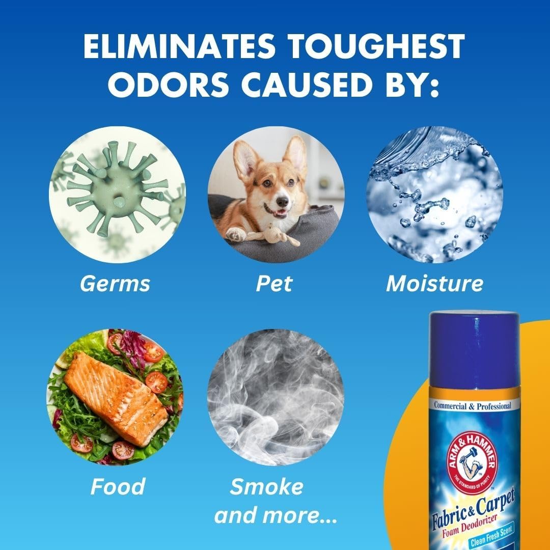 Arm and Hammer Fabric and Carpet Foam Deodorizer Professional, Aerosol, Fresh Scent, 15 fl oz (Case of 8)
