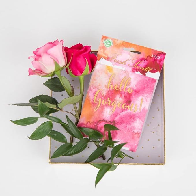 WillowBrook | Fresh Scents Scented Sachet Packet | Hello Gorgeous | Air - Image 9