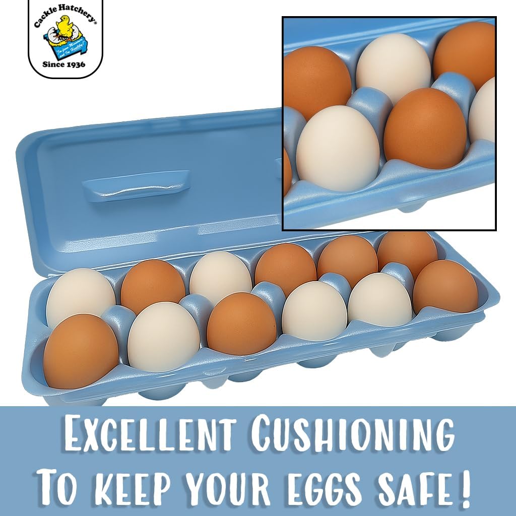 Foam Egg Cartons for Chicken Eggs Holds 1 Dozen Eggs (Assorted, 15pk)