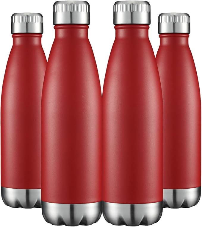 HASLE OUTFITTERS 17oz Stainless Steel Water Bottles Bulk, Vacuum Insulated by HASLEOUTFITTERS