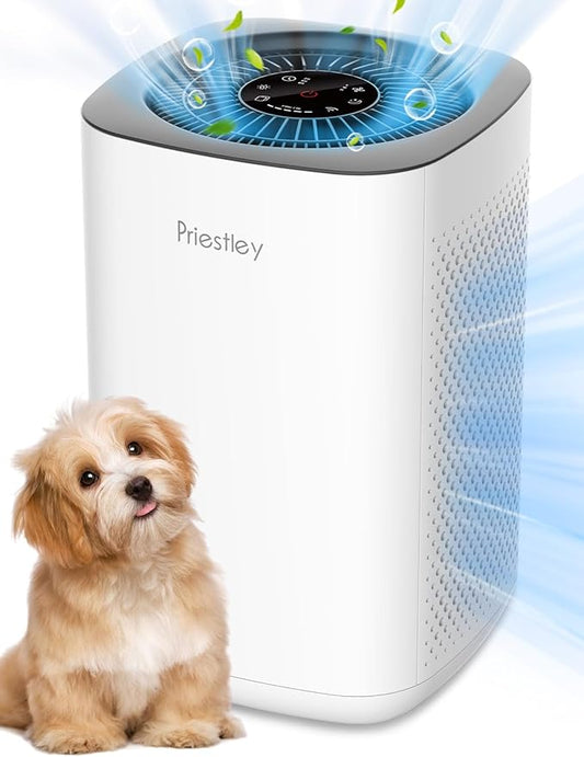 Priestley Air Purifier for Bedroom, Dorm Up to 1100Ft², Smart WiFi Air Purifiers by Priestley