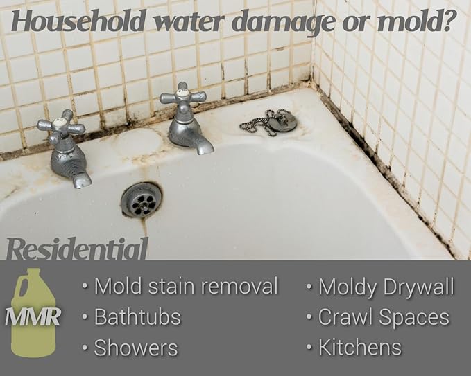 Bad Axe MMR Instant Mold Stain and Mildew Stain Remover - Image 3