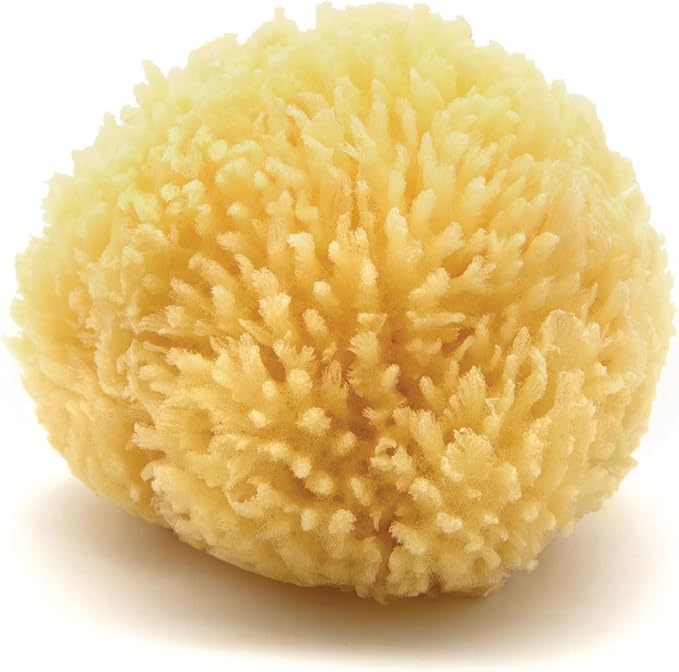 Neptune Caribbean Sea Sponge, Hand Cut, Approx. 4-5 inches by Unknown