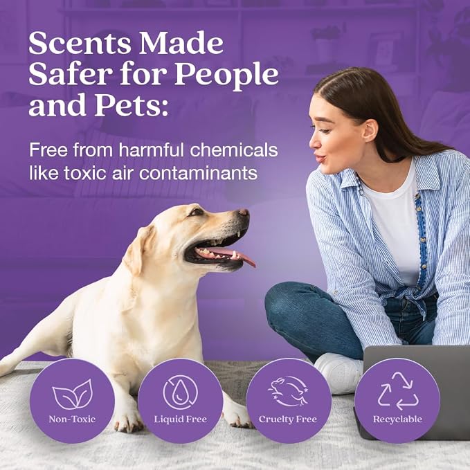 Enviroscent Non-Toxic Air Freshener - Image 2