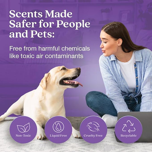 Enviroscent Non-Toxic Air Freshener - Image 2