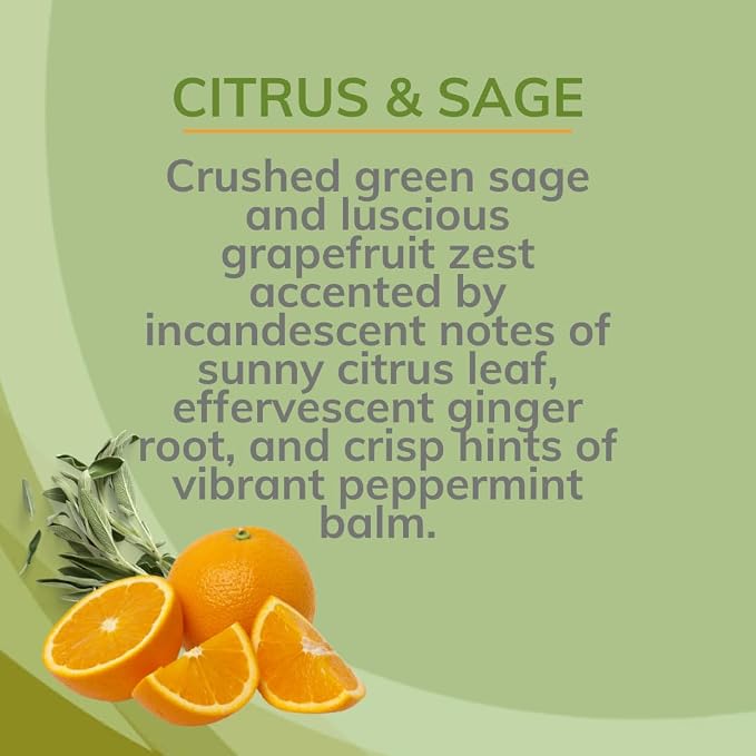 Citrus Magic Odor Eliminating Air Freshener Spray, Citrus and Sage - Image 6