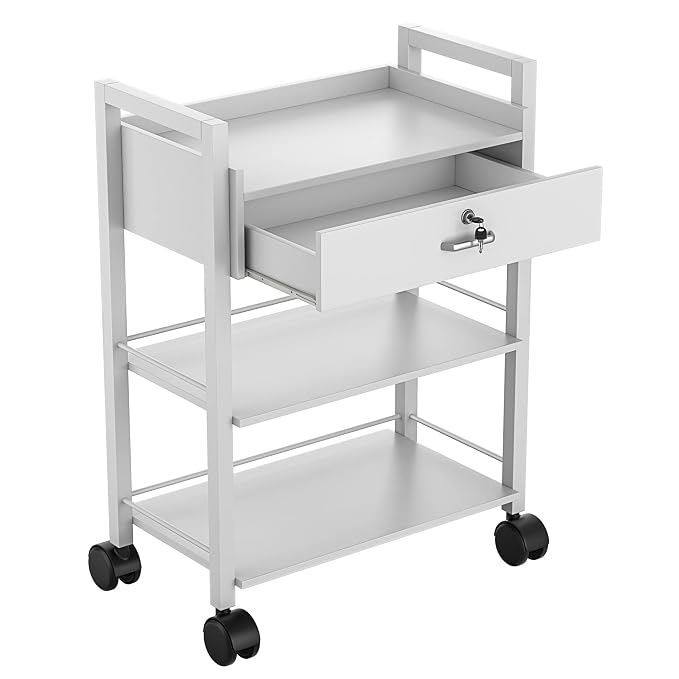 Paddie Salon Trolley Cart, Wooden Mobile Utility Cabinet Lab Cart - Image 5