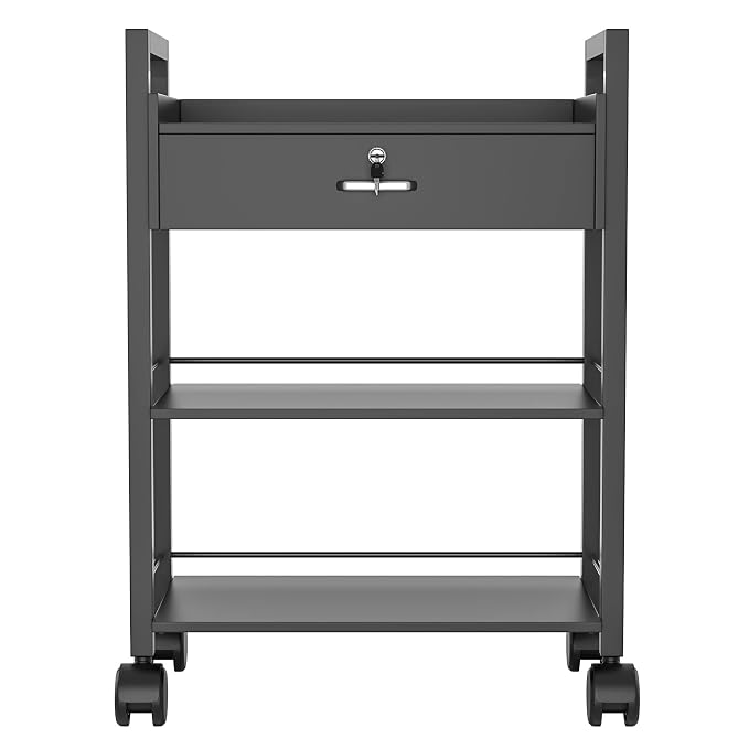 Paddie Salon Trolley Cart, Salon Tray Wooden Mobile Utility Cabinet - Image 6