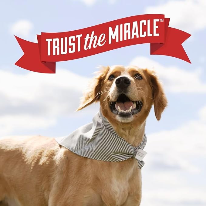 Nature’s Miracle Carpet Shampoo, Deep-Cleaning Pet Stain And Odor Remover - Image 7
