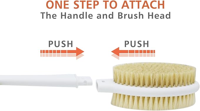Shower Brush with Soft and Stiff Bristles, 18.5" Long Handle Dual-Sided Back - Image 4