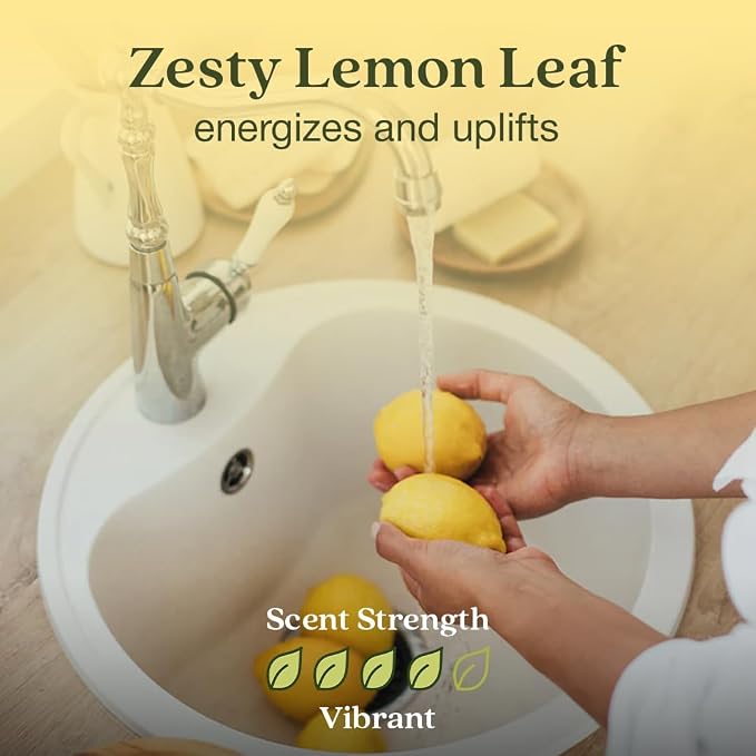 Enviroscent Non-Toxic Air Freshener - Image 3