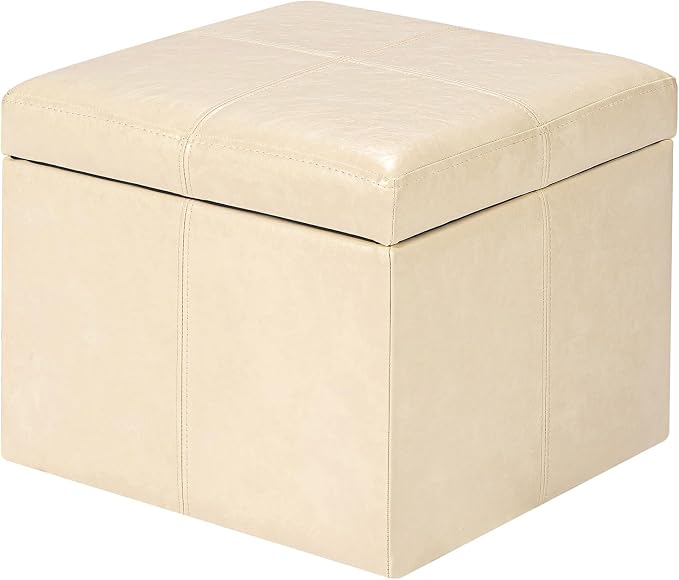 Adeco Storage Ottoman by Adeco