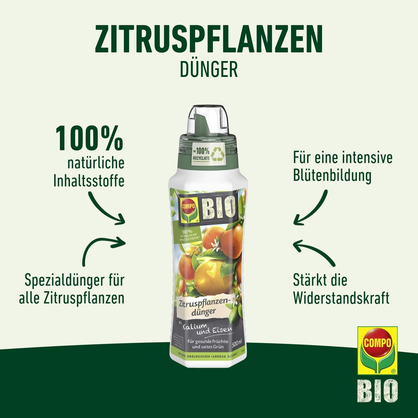 GRILLMER Compo 22245 - Concime Biologico per Piante di agrumi, 500 ml