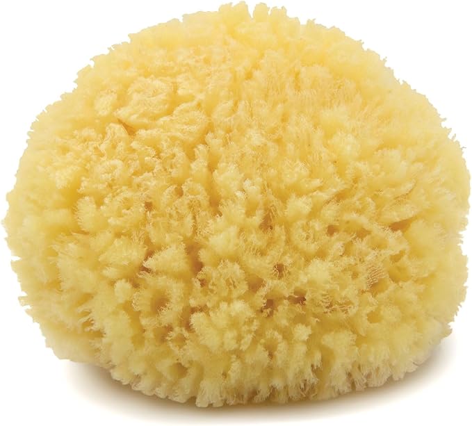 Neptune Caribbean Sea Sponge, Hand Cut, Approx. 5-6 inches by Unknown
