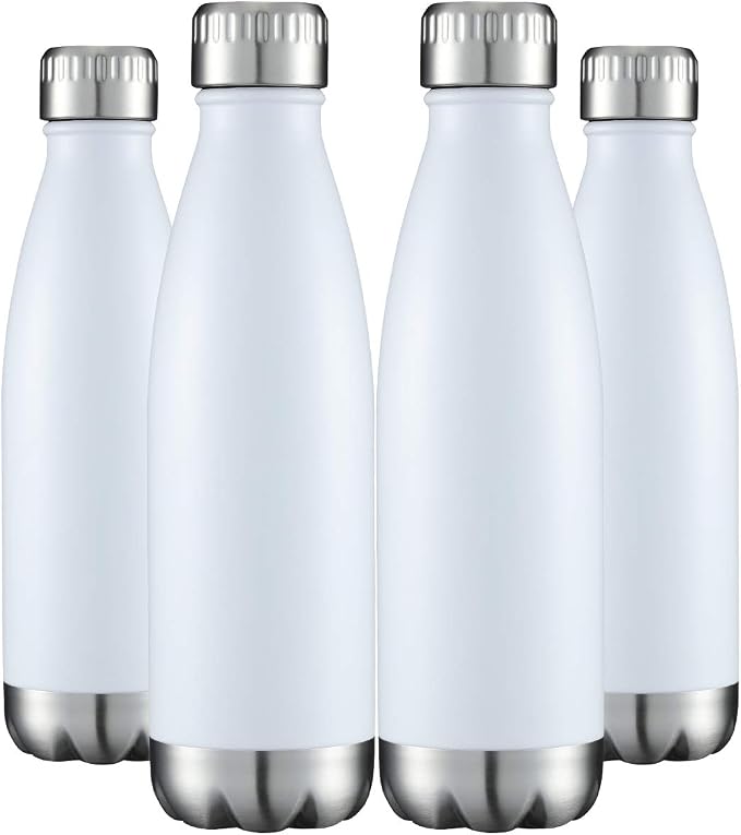 HASLE OUTFITTERS 17oz Stainless Steel Water Bottles Bulk, Vacuum Insulated by HASLEOUTFITTERS