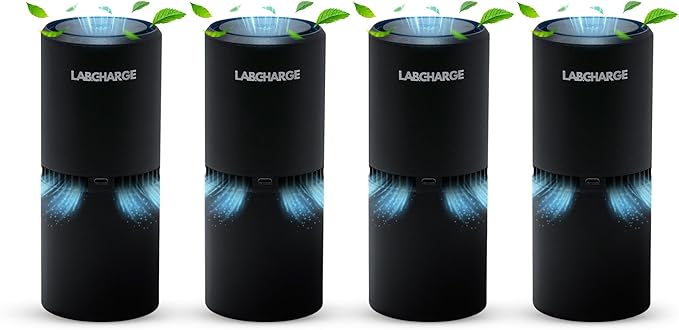 Lab Charge Small Ionic Air Purifier by LabCharge