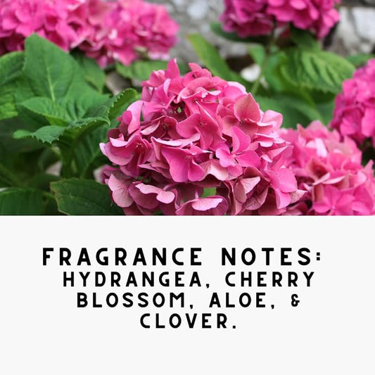 Home 'PINK FIELDS' Natural Laundry Detergent Powder – Hydrangea & Clover Scent - Image 2