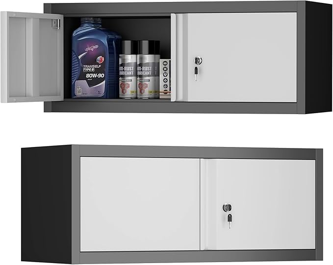 Metal Garage Storage Cabinet, Locking Cabinet Wall Mounted, 12.8" H Floating by STEELIST