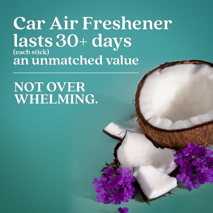 Enviroscent Non-Toxic Car Air Freshener Natural Car Air Freshener | Essential - Image 4