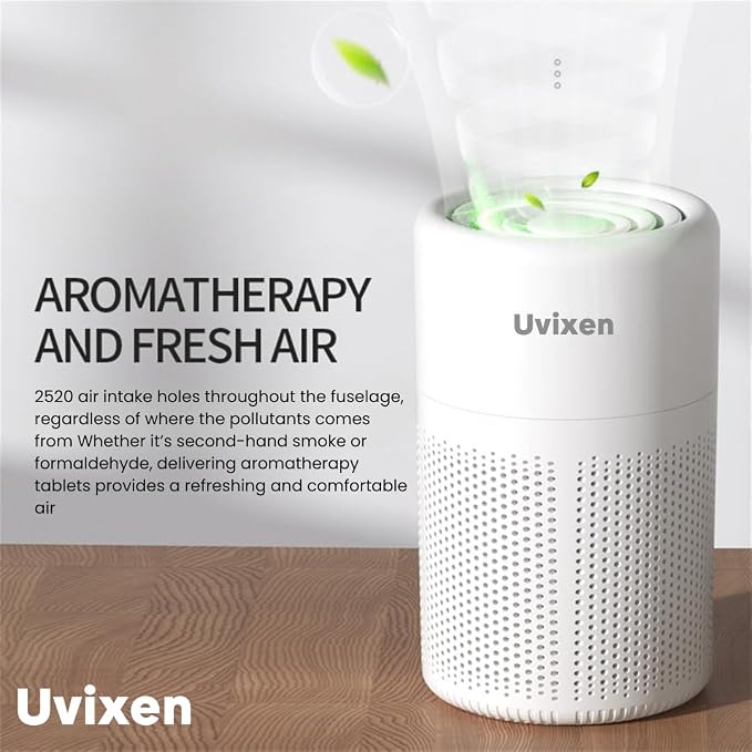 Air Purifiers for Home - Image 6