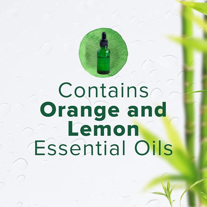 Citrus Magic Solid Air Freshener, Bamboo Rainforest - Image 6