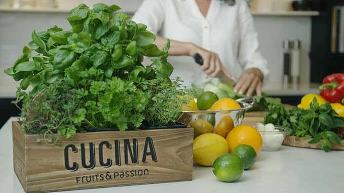 Cucina Fruits & Passion Hand Soap Refill – 1 Liter Coriander and Olive Tree – - Image 4