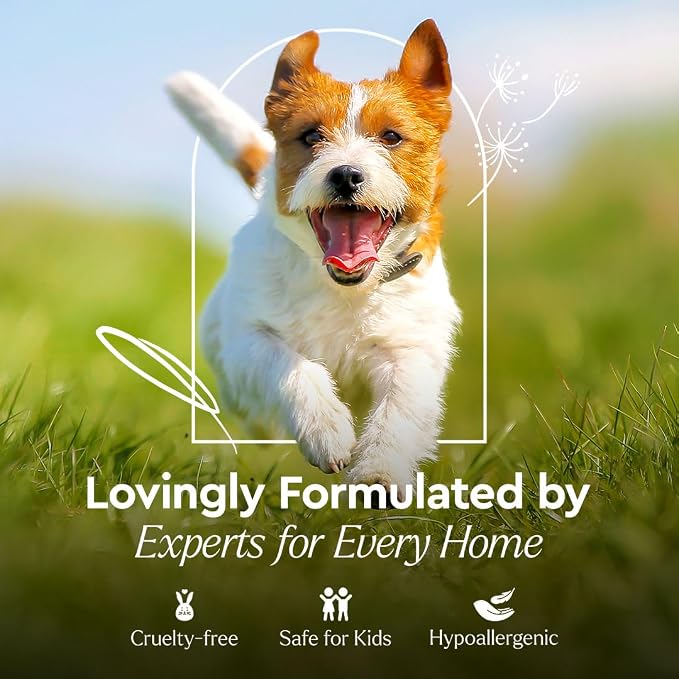 Puracy Pet Stain and Odor Remover - Image 4
