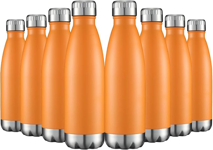 HASLE OUTFITTERS 17oz Stainless Steel Water Bottles Bulk, Vacuum Insulated by HASLEOUTFITTERS
