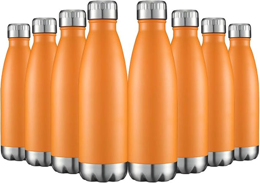 HASLE OUTFITTERS 17oz Stainless Steel Water Bottles Bulk, Vacuum Insulated by HASLEOUTFITTERS