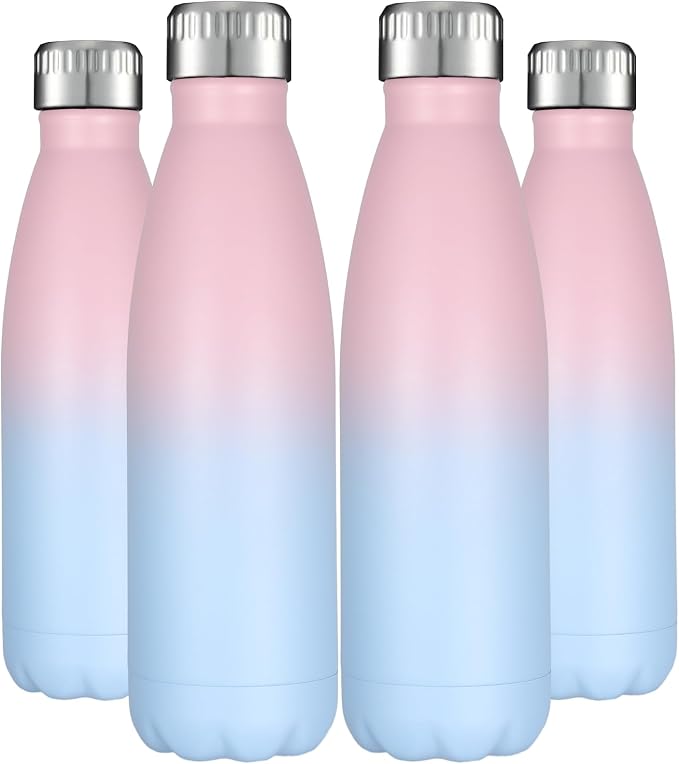 HASLE OUTFITTERS 17oz Stainless Steel Water Bottles Bulk, Vacuum Insulated by HASLEOUTFITTERS