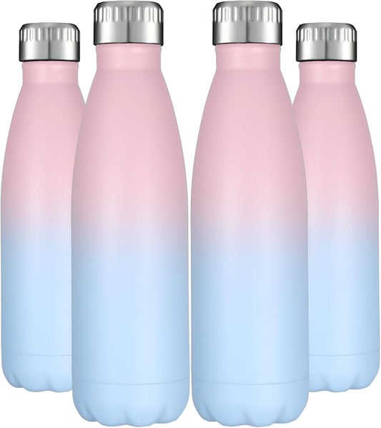 HASLE OUTFITTERS 17oz Stainless Steel Water Bottles Bulk, Vacuum Insulated by HASLEOUTFITTERS