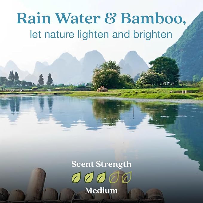 Enviroscent Non-Toxic Air Freshener - Image 3