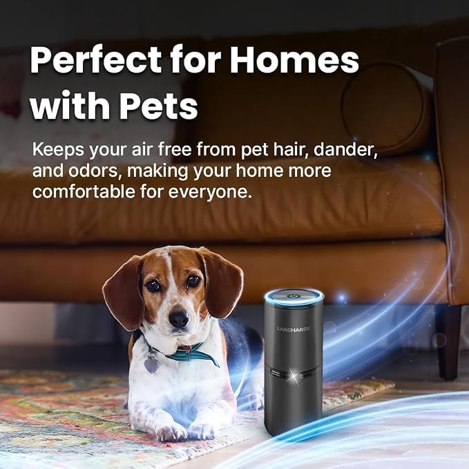 Lab Charge Small Ionic Air Purifier - Image 3
