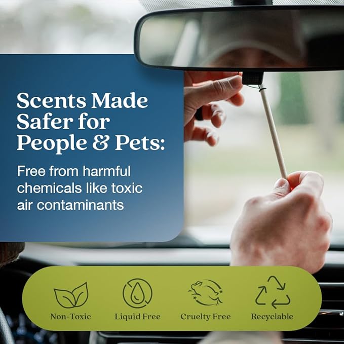 Enviroscent Non-Toxic Car Air Freshener Natural Car Air Freshener | Essential - Image 3